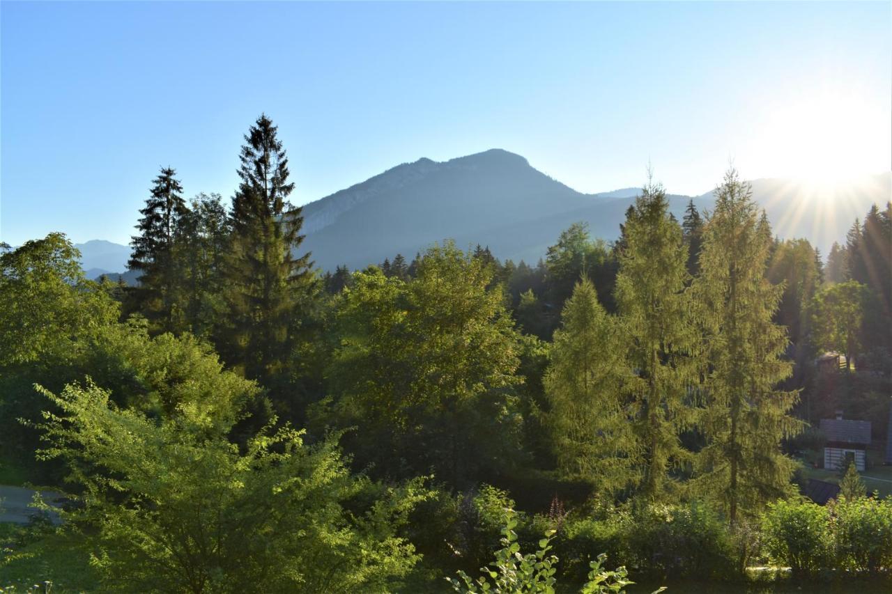 Apartment D'Auszeit Bad Goisern Buitenkant foto