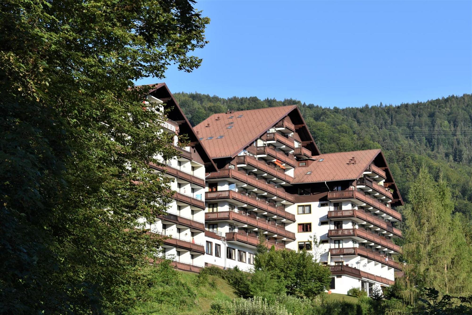 Apartment D'Auszeit Bad Goisern Buitenkant foto